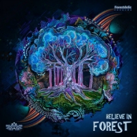 VA - Believe in Forest (2020) MP3