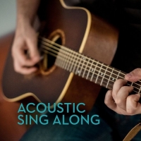 VA - Acoustic Sing Along (2020) MP3