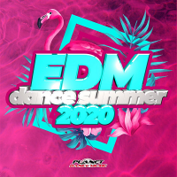 VA - EDM Dance Summer 2020 [Planet Dance Music] (2020) MP3