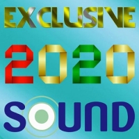 VA - Exclusive 2020 ZR - Reckless Walking (2020) MP3