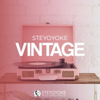 VA - Steyoyoke Vintage (2020) MP3