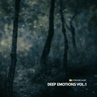 VA - Deep Emotions Vol. 1 [Forward Music] (2020) MP3