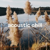 VA - Acoustic Chill (2020) MP3