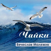 Вячеслав Малежик - Чайки (2020) MP3