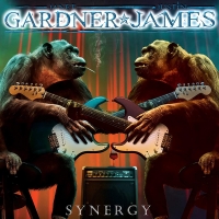 Janet Gardner & Justin James - Synergy (2020) MP3