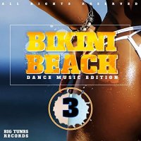 Сборник - Bikini Beach Vol.3 (2019) MP3