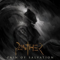 Pain Of Salvation - Panther (2020) MP3