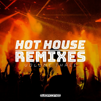 VA - Hot House Remixes Vol. 3 (2020) MP3
