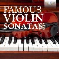VA - Famous Violin Sonatas (2020) MP3