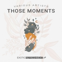 VA - Those Moments (2020) MP3