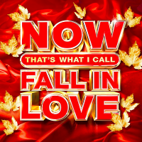 VA - Now That's What I Call Fall In Love (2020) MP3