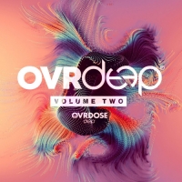 VA - Ovrdeep Vol.2 (2020) MP3