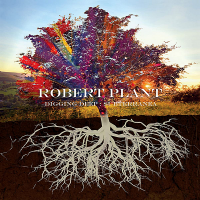 Robert Plant - Digging Deep: Subterranea (2020) MP3