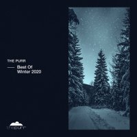 VA - Best of Winter 2020 (2021) MP3