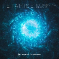 Tetarise - Entrancing Bloom (2020) MP3