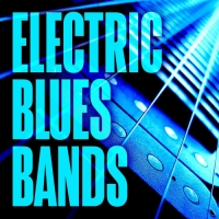 VA - Electric Blues Bands (2021) MP3