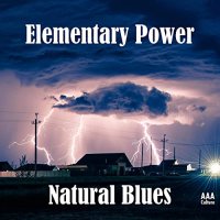Natural Blues - Elementary Power (2021) MP3