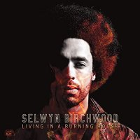 Selwyn Birchwood - Living In A Burning House (2021) MP3