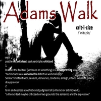 Adams Walk - Criticize (2021) MP3