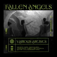 VA - IV - Fallen Angels (2021) MP3