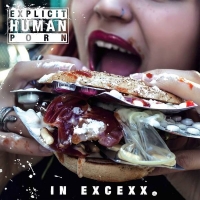 Explicit Human Porn - In Excexx (2021) MP3