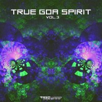 VA - True Goa Spirit [Vol. 3] (2021) MP3