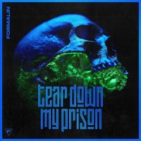 Formalin - Tear Down My Prison [EP] (2021) MP3