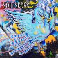 VA - Soulseeks (2021) MP3