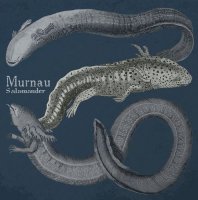 Murnau - Salamander (2021) MP3