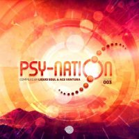 VA - Psy-Nation Volume 003 [Compiled by Liquid Soul & Ace Ventura] (2021) MP3