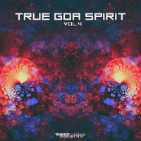 VA - True Goa Spirit [Vol. 4] (2021) MP3