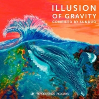 VA - Illusion Of Gravity (2021) MP3