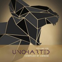 VA - Uncharted [Vol 19] (2021) MP3