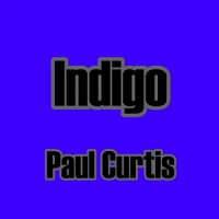 Paul Curtis - Indigo (2021) MP3