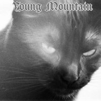 Young Mountain -  [7CD] (2013-2021) MP3