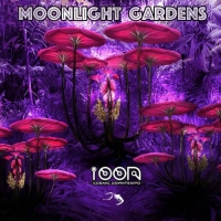 Ioon Cosmic Downtempo - Moonlight Garden (2021) MP3