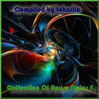 VA - Collection Of House Styles 5 [Compiled by tokarilo] (2020) MP3