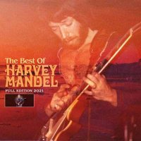 Harvey Mandel - The Best Of Harvey Mandel (1971-2020) (2021) MP3
