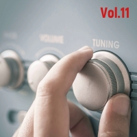 -     FM Vol.11 (2021) MP3
