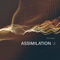 Elkin Sergey - Assimilation (2021) MP3