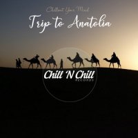 VA - Trip To Anatolia: Chillout Your Mind (2021) MP3