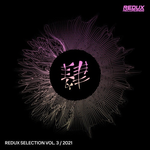 VA - Redux Selection Vol 1 - 5 (2021) MP3