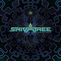 Shivatree - The Unlimited Process (2021) MP3
