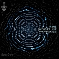VA - Borderline (2021) MP3