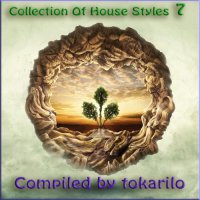 VA - Collection Of House Styles 7 [Compiled by tokarilo] (2020) MP3