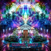 VA - Cosmic Unity (2021) MP3