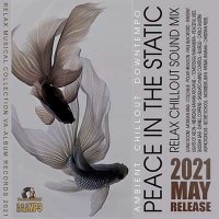 VA - Peace In The Static (2021) MP3