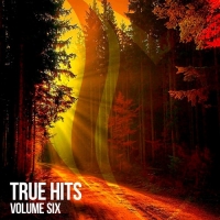VA - True Hits Vol 6 (2021) MP3