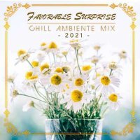 VA - Favorable Surprise: Chill Ambiente Mix (2021) MP3