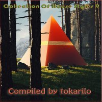 VA - Collection Of House Styles 9 [Compiled by tokarilo] (2021) MP3